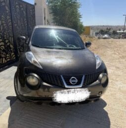 Nissan Other Nissan Model 2010