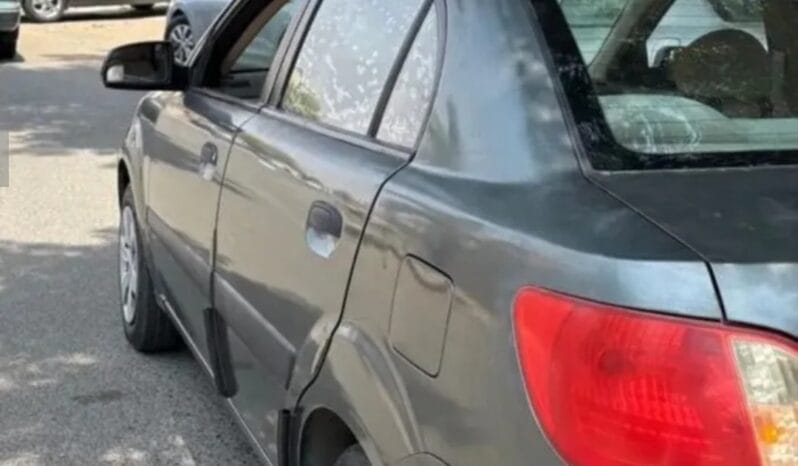 
Kia Rio 2010 full									